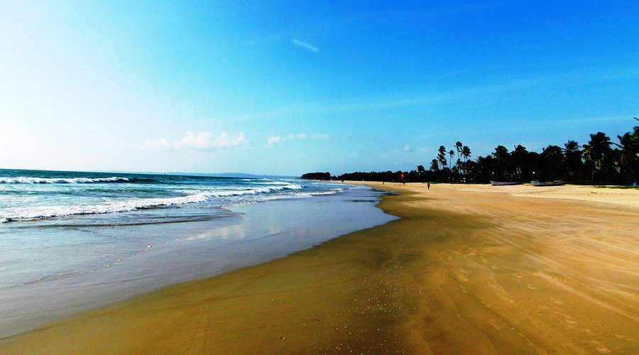 La Vida Colva  Beach Resort Attraction Pictures